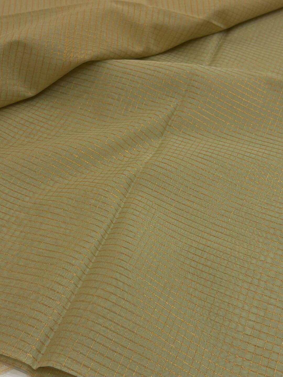 Pastel Green Checked Tissue Cotton Saree