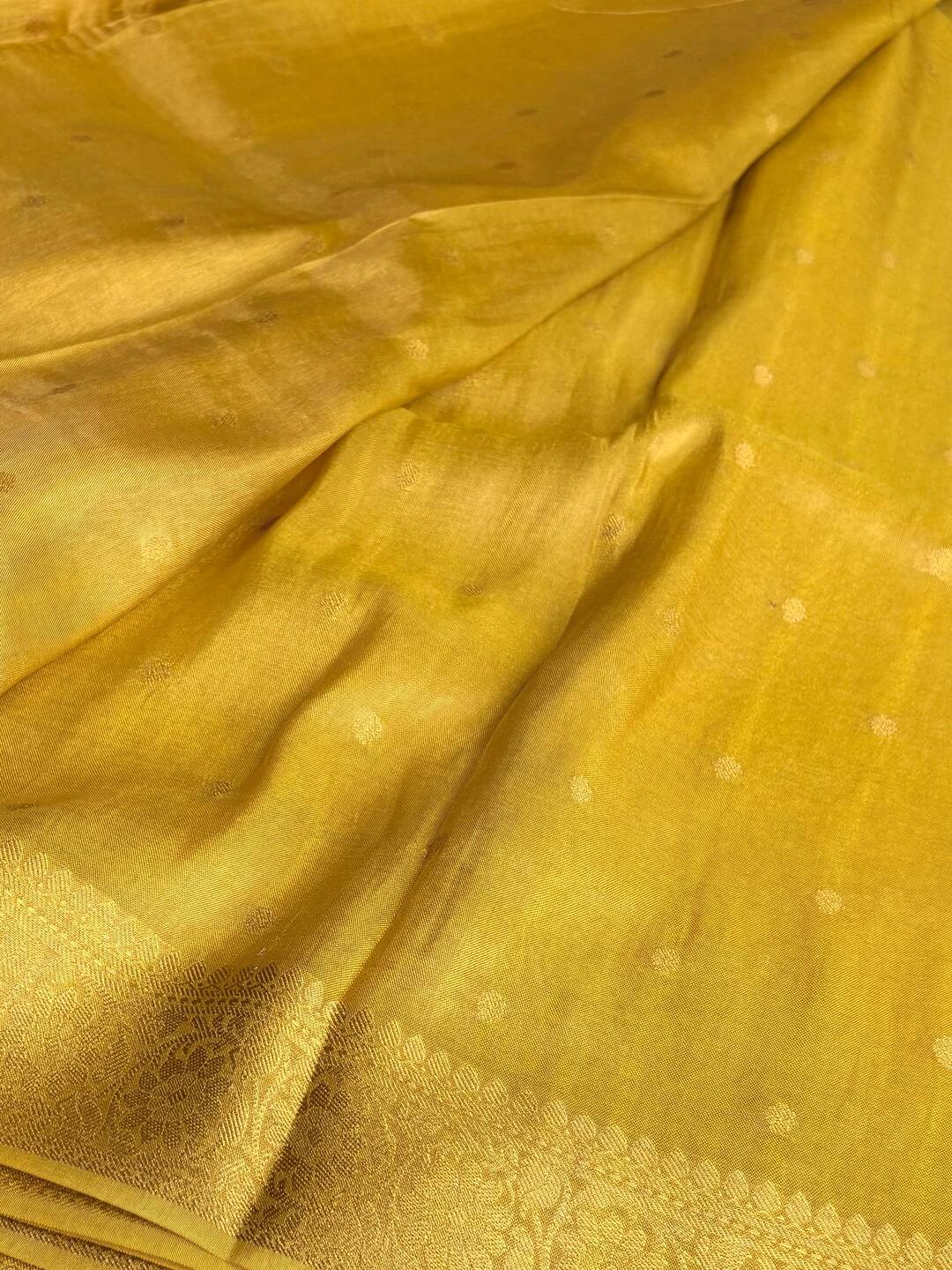 Golden Lime Yellow Banaras Cotton Silk Saree