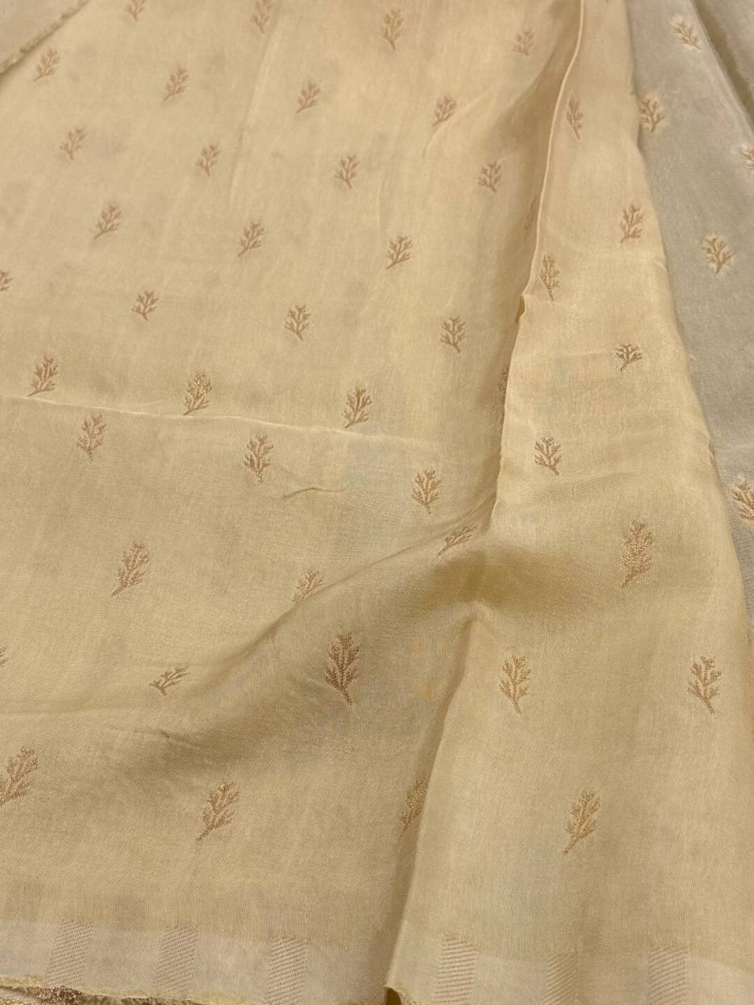 Wine Purple With White Banaras Cotton Saree
