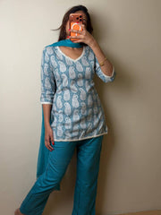 Baby Blue Straight Cut 3pc kurti Suit
